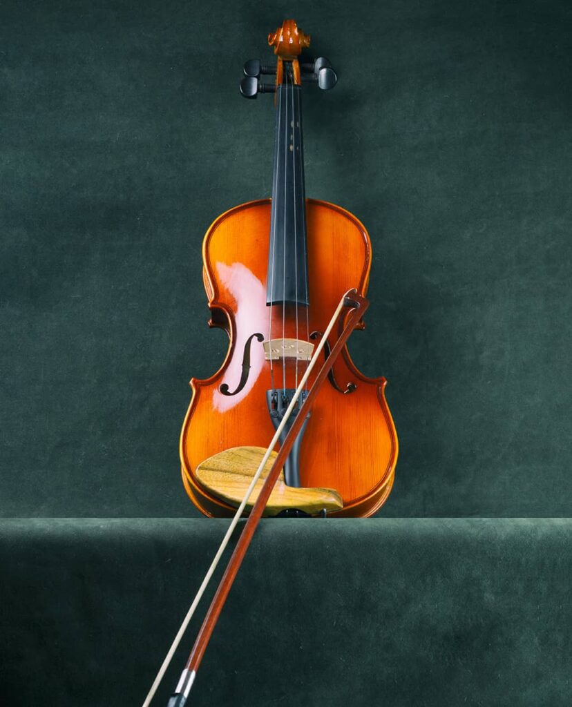 EchoTone Violin