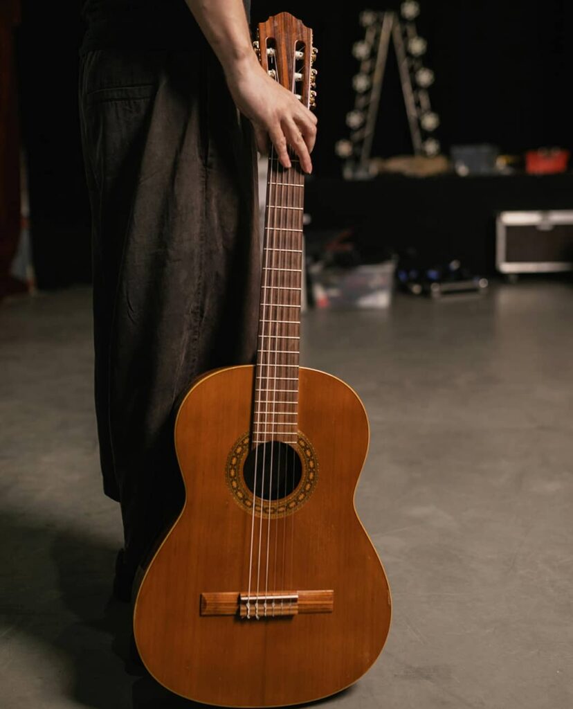 Echo Star Guitar
