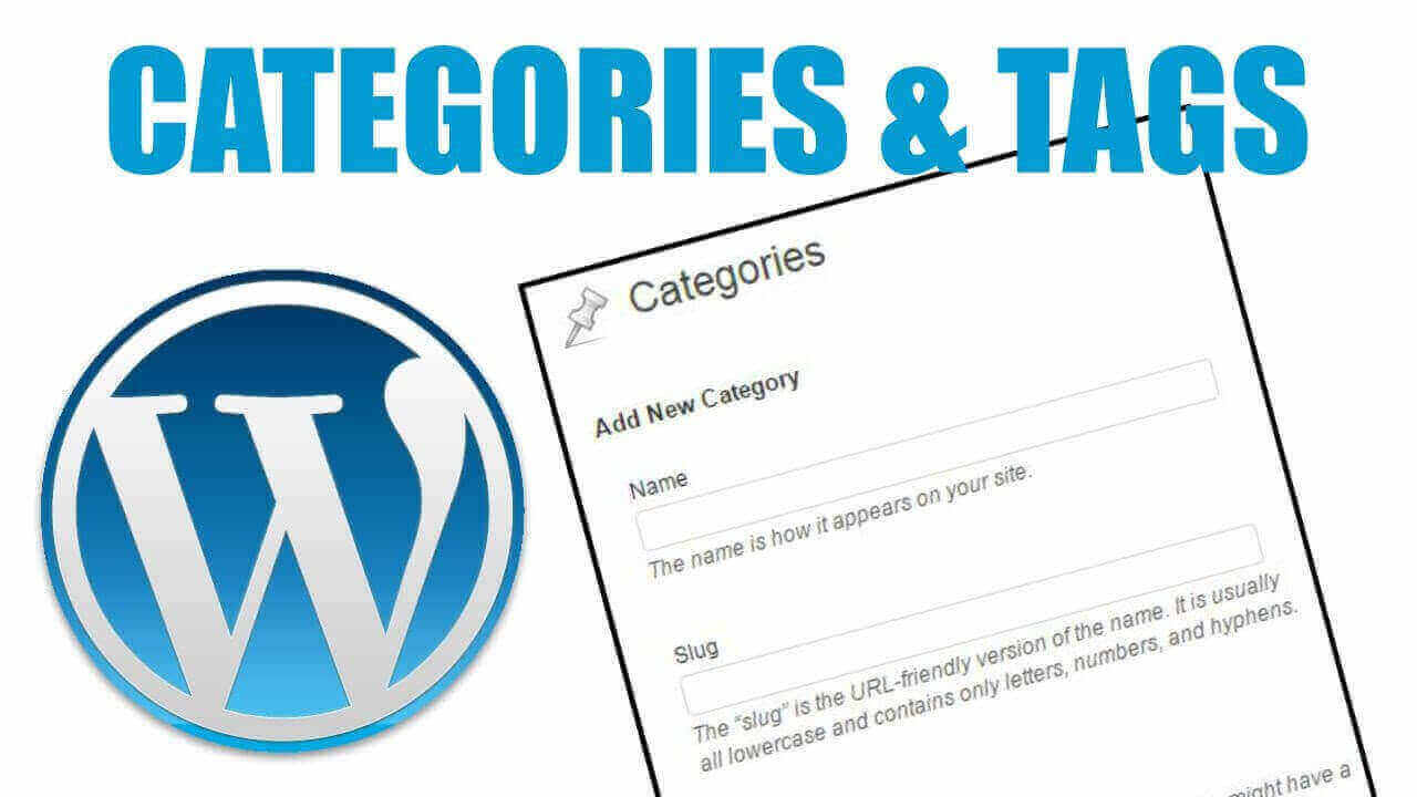 WordPress categories and tags. Image Source: Hitechwork