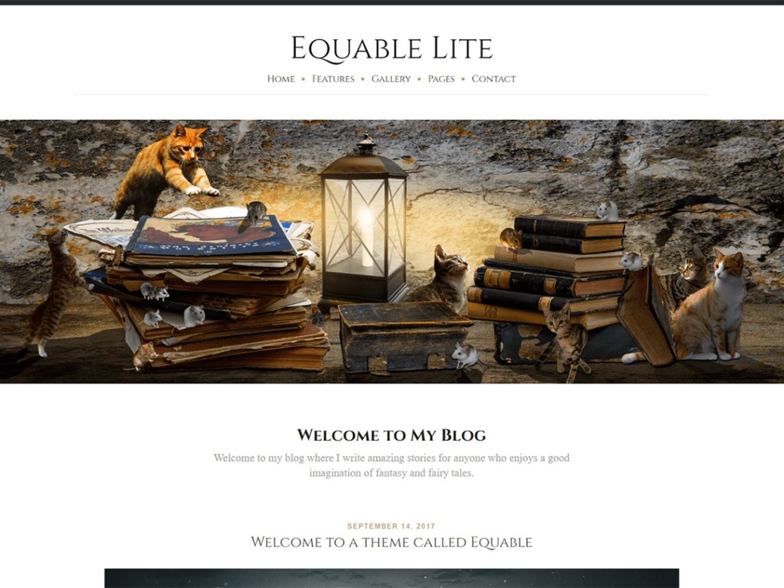 Equable Lite. Image Source: WordPress.org