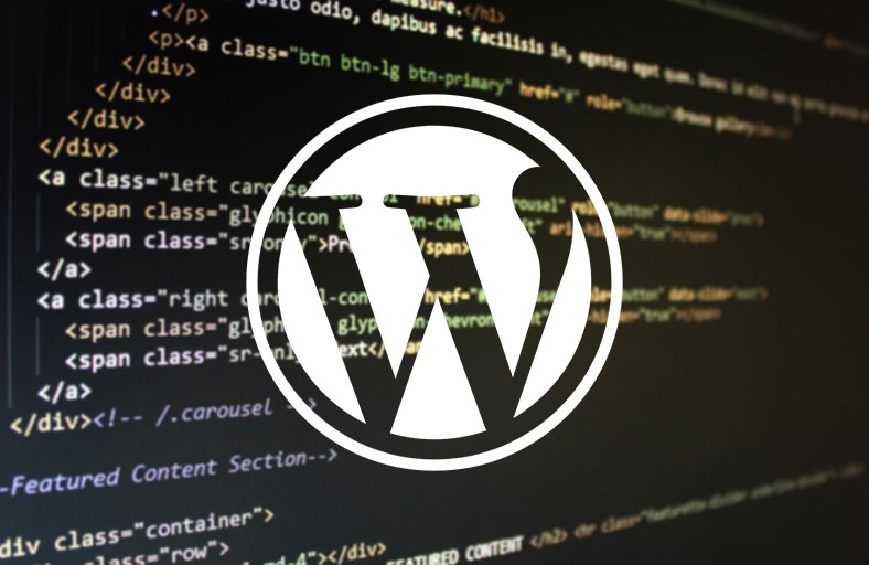 follow-wordpress-standard-codes