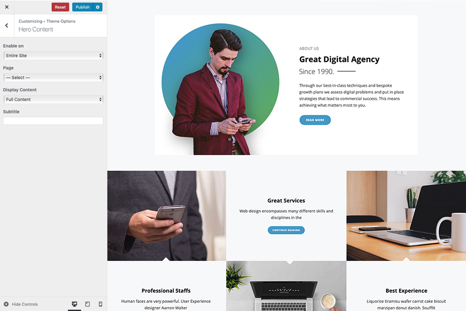 Hero Content in Intuitive - A corporate free WordPress theme