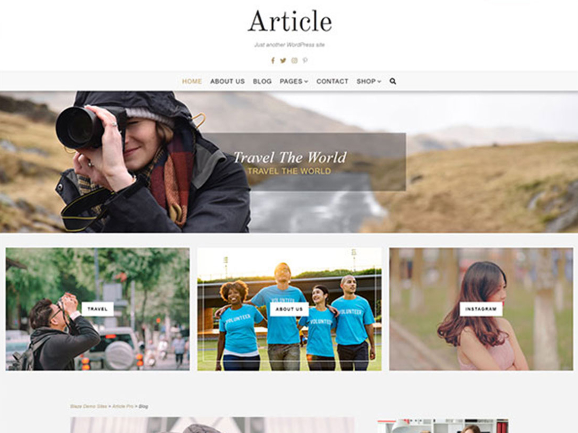 Article Lite - 10 Best Free WordPress Themes of may 2020