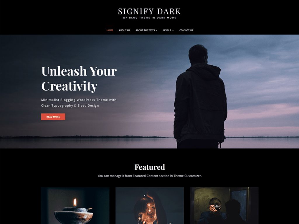 Signify Dark - 10 Best Free WordPress Themes of October 2020