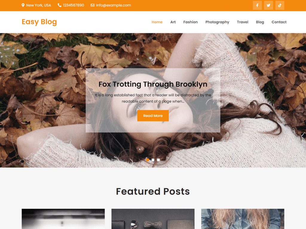 Easy Blog - 10 Best Free WordPress Themes of December 2020